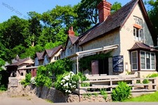 IWC1902 - Isle of Wight - The Chine Inn, bottom of Shanklin Chine - photo 6x4