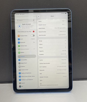 Apple iPad (10th Generation) A2757 256 GB, Wi-Fi + 5G, 10.9 in