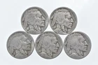 BETTER Lot 1929-S 1929-S 1928-S 1929-S 1926-D Buffalo Nickel Collection *159