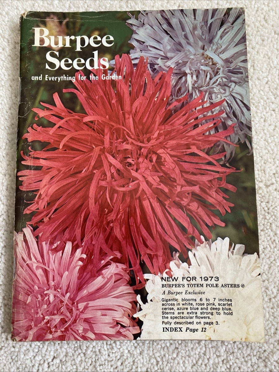 Burpee Seeds Garden Catalog 1973 W Atlee Co ColorfulFlowers Vegetables |  eBay