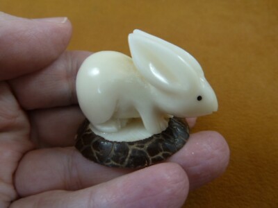 (TNE-BUN-676b) white Bunny Rabbit TAGUA NUT Figurine Vegetable palm ...