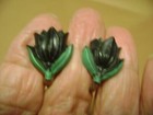 Foto 3 di 5