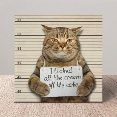 Moggie Mugshot Returns Funny Naughty Cat Greeting Card Humorous Birthday Cards