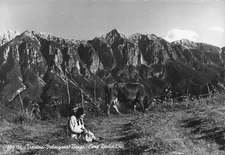 ITALY VILLAGE VALSUGANA TOP TWELVE