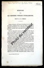 Histoire des Gaules: Cessac, 1867. Les dernières fouilles d'Uxellodunum (Vayrac)