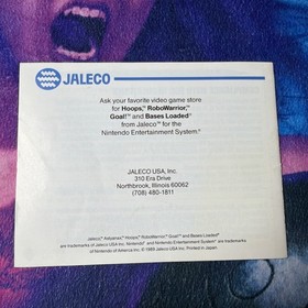 Nintendo NES Astyanax Manual Only - Clean!