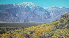 CALIFORNIA Mount San Jacinto - 1942 COLOR Rotogravure Print by Hubert A. Lowman