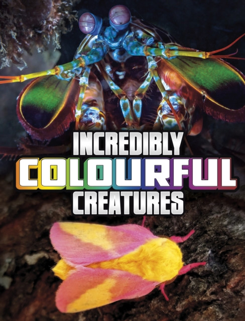Incredibly Colourful Creatures by Megan Cooley Peterson (Paperback Book)