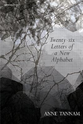 Twenty-Six Letters of a New Alphabet by Anne Tannam (Paperback Book)