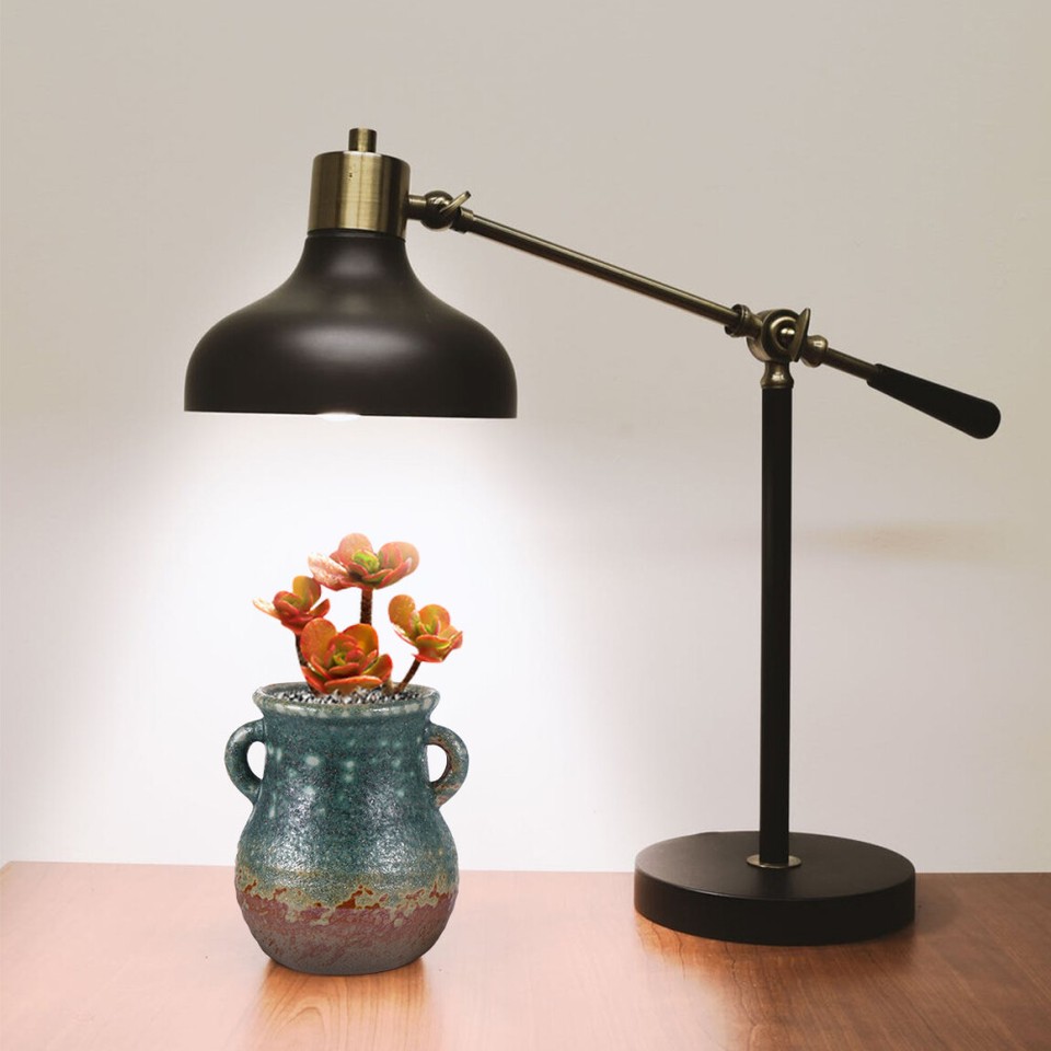 Bonsai Planter Hydroponic Pot Indoor Pots for Plants Creative Flower eBay