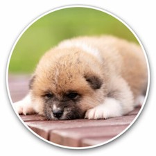 2 x Vinyl Stickers 30cm - Red Japanese Akita Inu Puppy Dog Cool Gift #12661