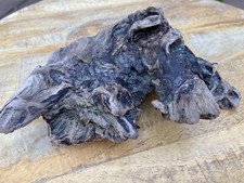 Beautiful REAL Natural Driftwood Root Fresh Water Aquarium Terrarium Taxidermy