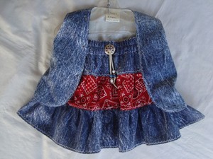conjunto de saia com colete