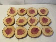 12 Aromatic Red Cedar Slices Cookies Living Edge 3" to 4" diameter    S37M