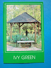 Unused Postcard Ivy Green Helen Keller Birthplace 4