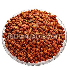 Malkangni Beej - Jyotishmati Seeds- Celastrus paniculatus  Malkangani Seed-100g