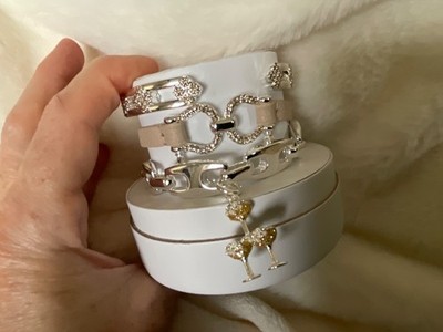 Bomb Party Spring Stacks 2026 Cheers To The Good Life Silver plated champagne  