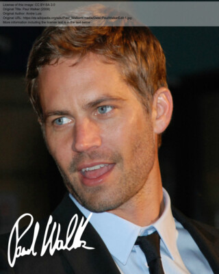 Repro-Autogramm - Paul Walker - 11,4 x 14,3cm - Schauspieler