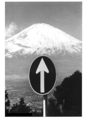 Fuji Yama 1977 (Foto: Elliott Erwitt)