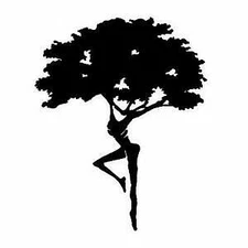 Vinyl Decal - Dreaming Tree Fire Dancer (Dave Matthews Band), Various Colors