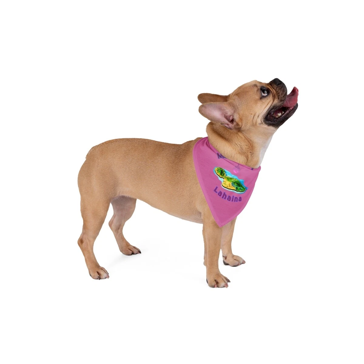 Animal lovers top pet supply