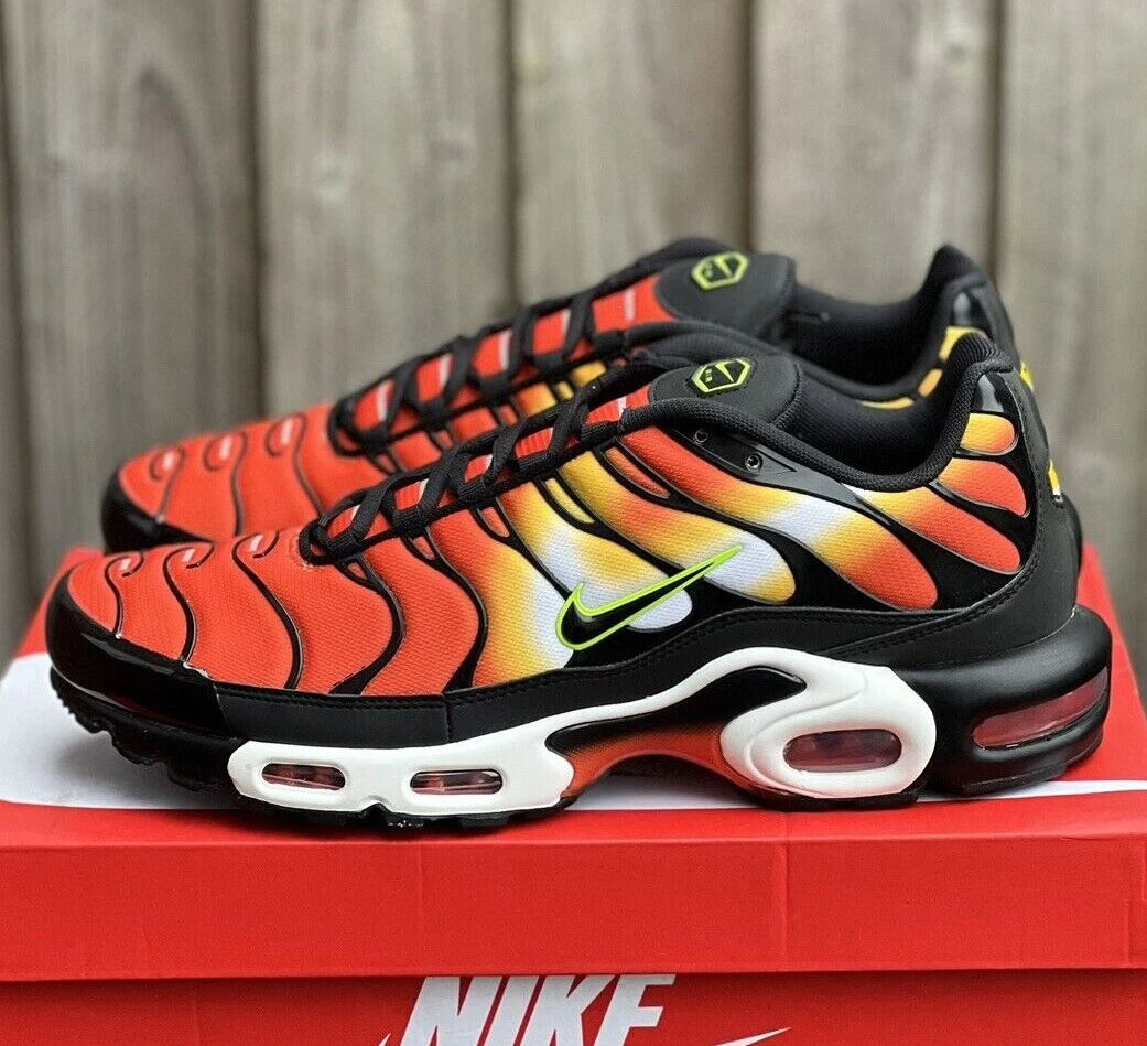 dr8581 800