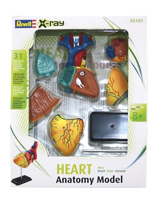 Revell X-ray Anatomy Model ''Heart - Herz''