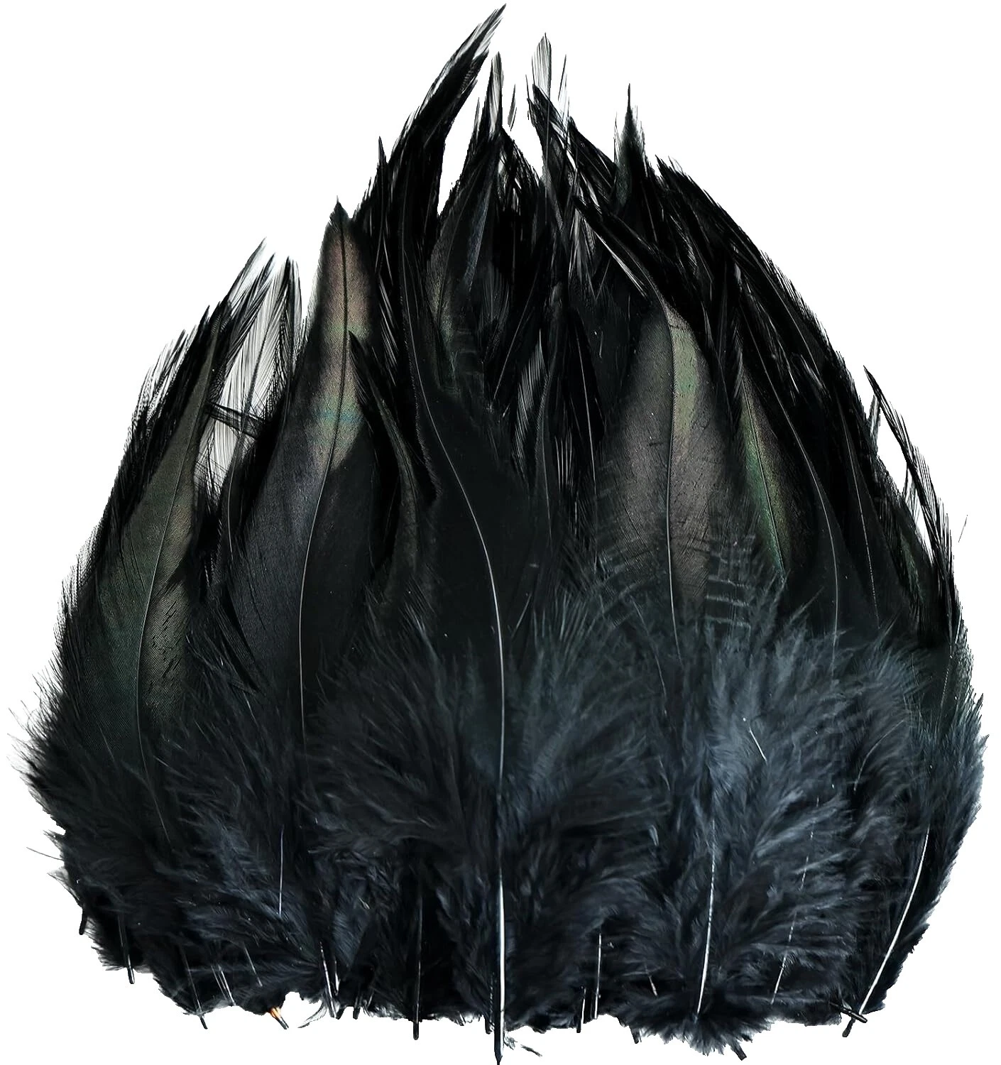 Plumas para Manualidades Negro