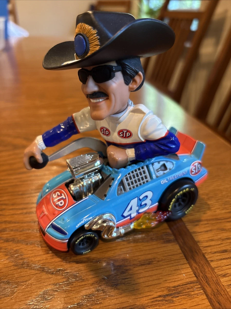 Hot Wheels 1:43 Diecast Racing Cars Richard Petty for sale | eBay