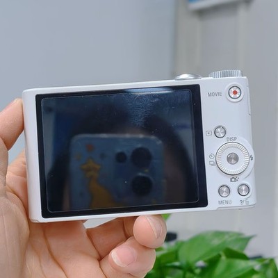 SONY Cyber-Shot DSC-WX300 Digital Camera 18.2MP 20x Optical Zoom