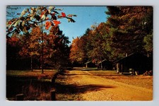 PA- Pennsylvania, Cabins At Cook Forest State Park, Vintage c1955 Postcard