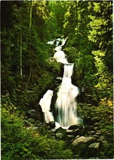 Triberg im Schwarzwald Germany Waterfalls in The Heart of Black Forest Postcard