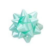 Aqua Blue Star Bows - 2 1/2in. Bows - 25 Pack on sale Aqua Blue Star Bows - 2 1/2in. Bows - 25 Pack on sale