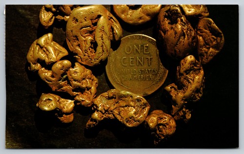 Vintage Postcard Alaska Gold Nuggets Coin Photo