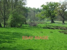 PHOTO  GRAZING LAND BY THE BROOK STABLEFORD SHROPSHIRE LUSH GRAZING MEADOWS BY T