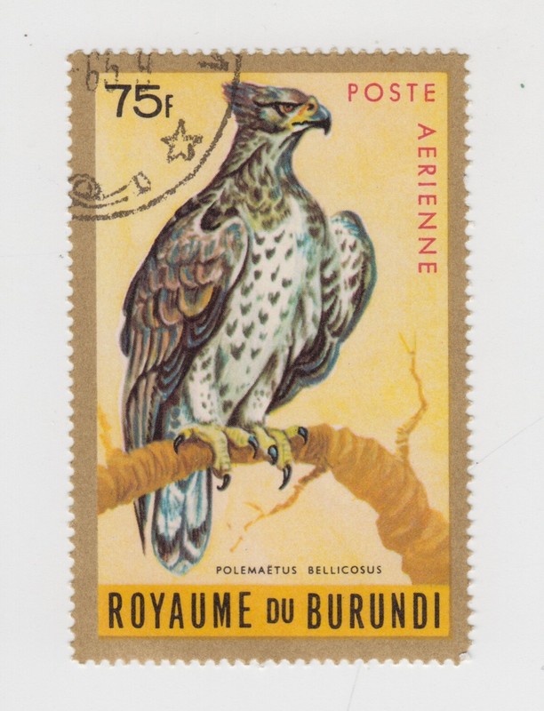 Burundi 1965. Martial Eagle (Polemaetus bellicosus). Birds Air Mail 75f. Sc# C15