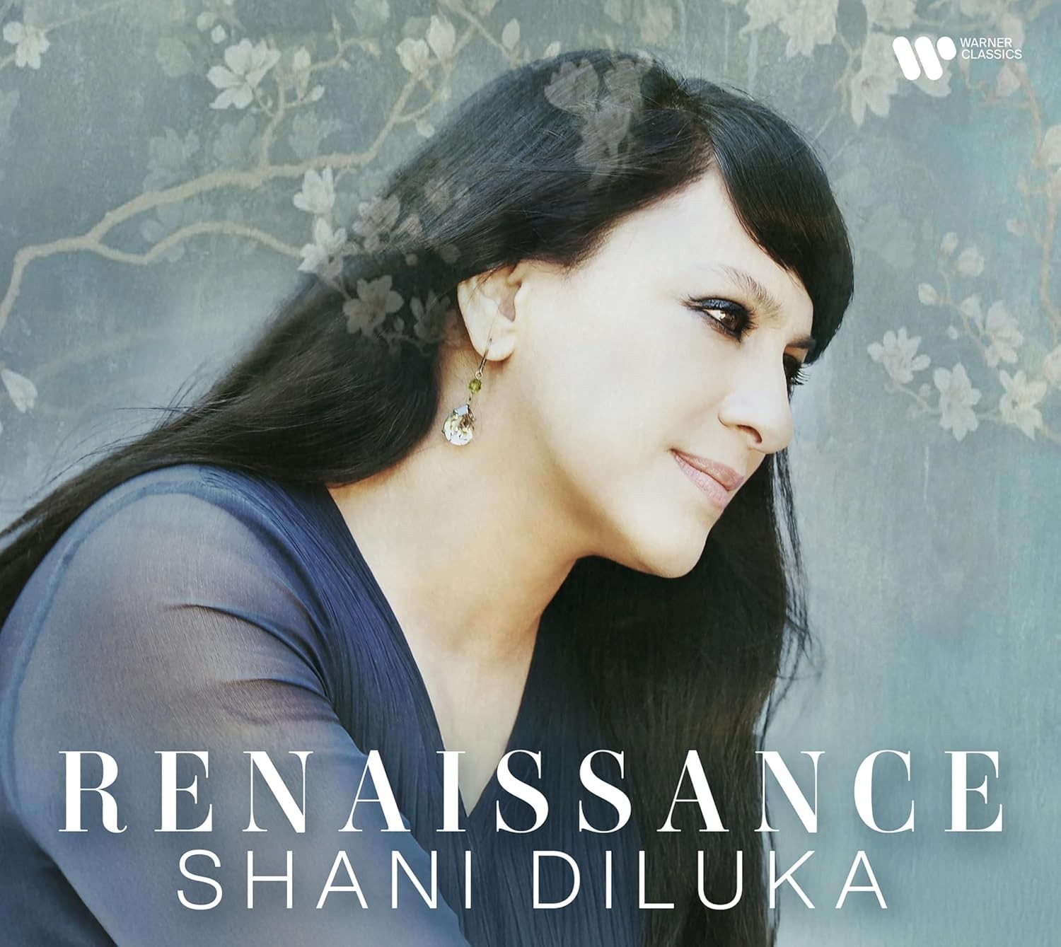 5021732514295 Diluka,shani Renaissance CD NEW
