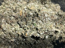 Raspberry Herb Leaf Organic wild crafted 1/8 lb tea