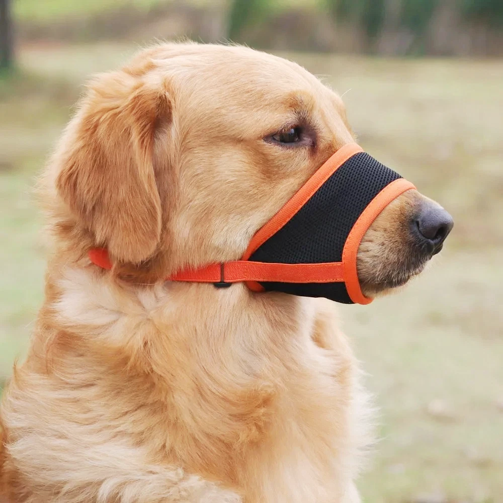 Can Dogs Still Drink With Muzzles On