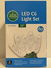 Winter Wonder Lane 60 LED Cool White Faceted C6 Lights Green Wire Indoor/Outdoor