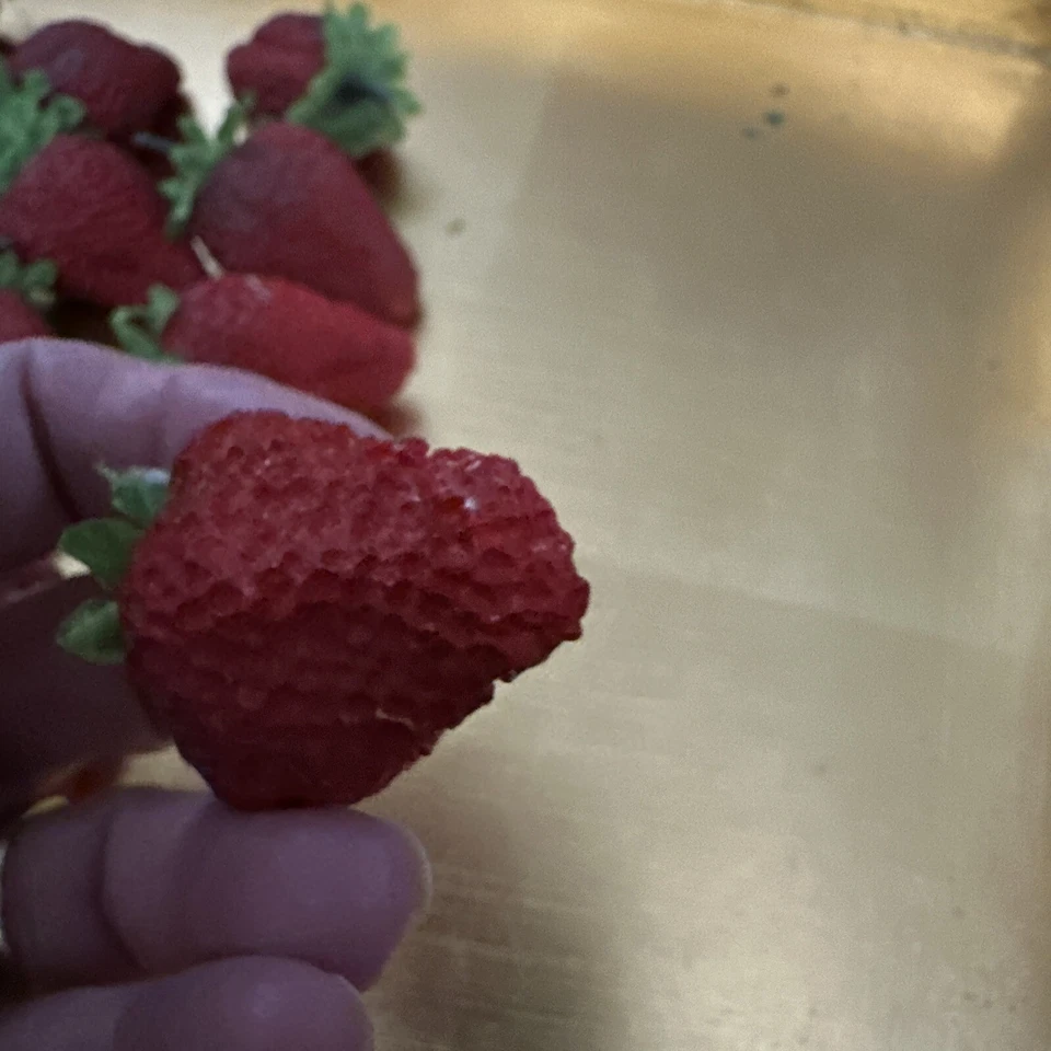 Lote de 24 accesorios de decoración de cocina rojos realistas de fresas sintéticas de cerámica vintage Foto 4 de 4