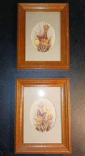 Vintage Homco Home Interior Pair of Framed Butterfly Flower Prints Matted
