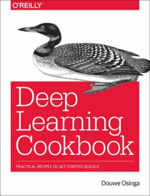 Deep Learning Cookbook: Practical recipes to get started quickly by Douwe Osinga