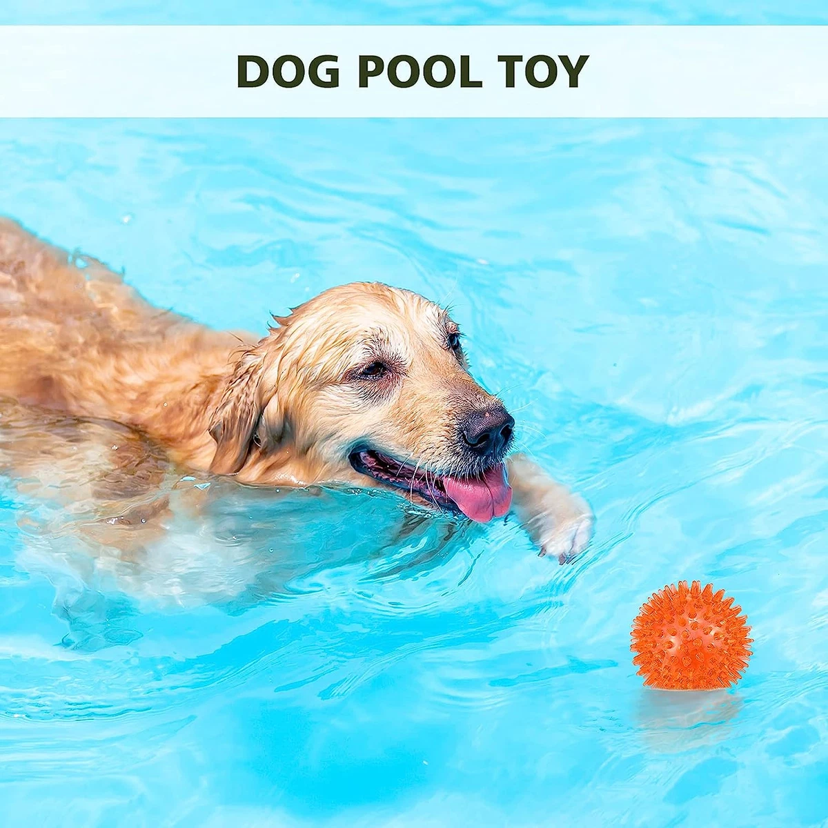 Pool toys for dogs discount