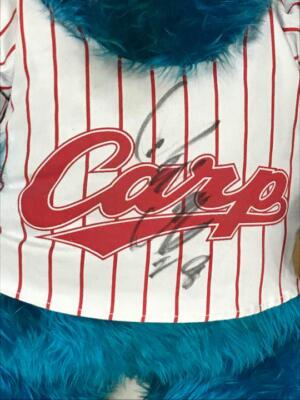 Hiroshima Carp 1991 League Championship Celebration, Slyly Hiroshima Carp 1991 League Championship Celebration, Slyly