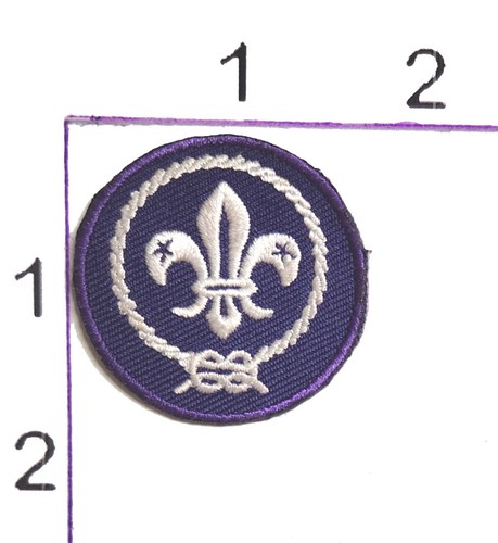 World Boy Scouts Patch Round Embroidered Badge Crest Logo Blue Uniform Craft