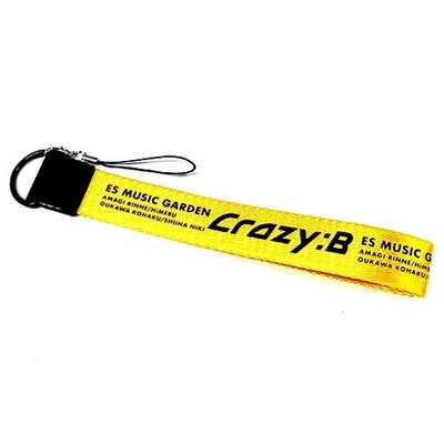 Verrückt: B ESMG Penlight Wristlet Ensemble Stars!! ES Music Garden Japan C892