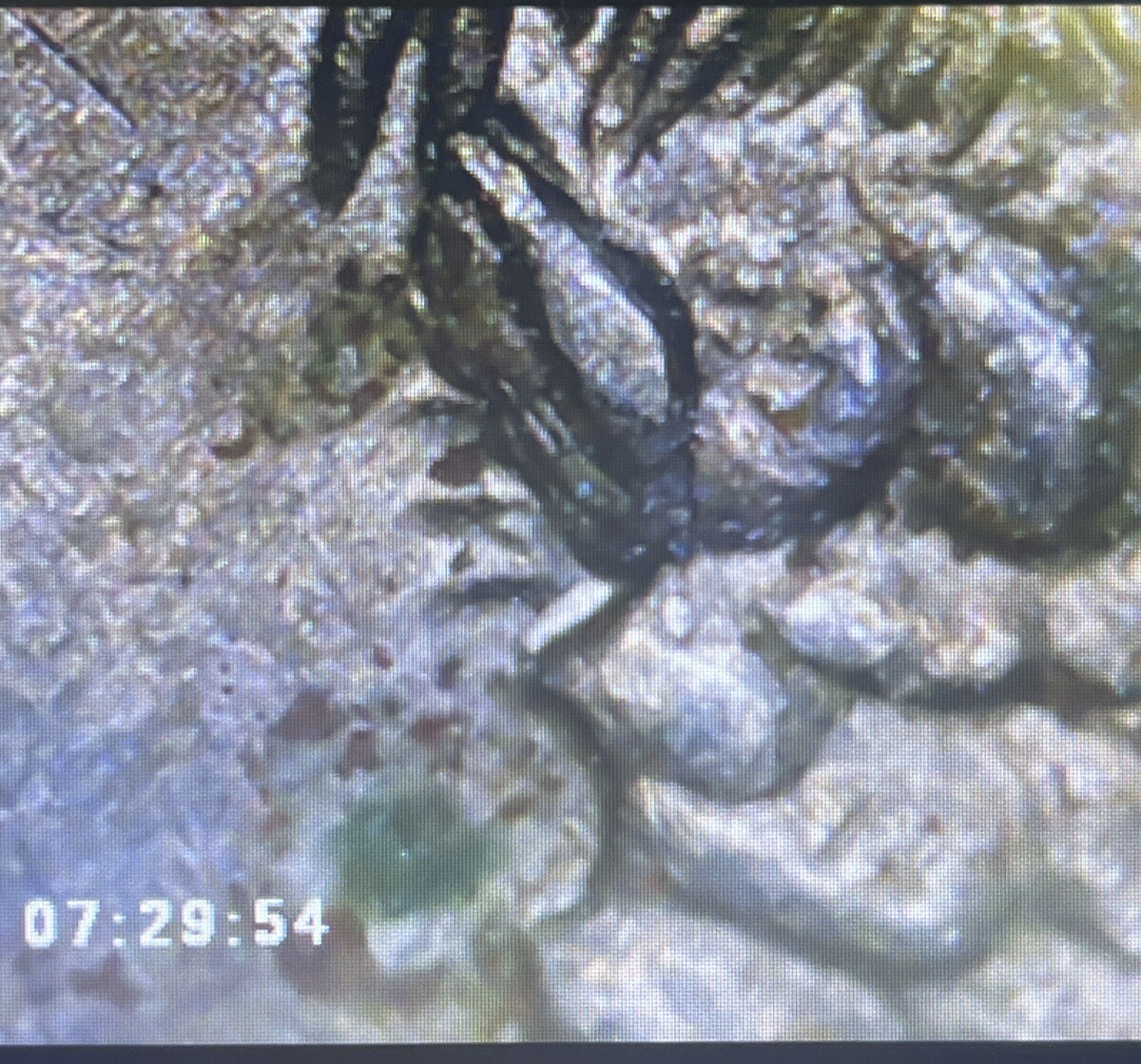 Picture 3 of 7