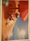 Bild 5 von 10