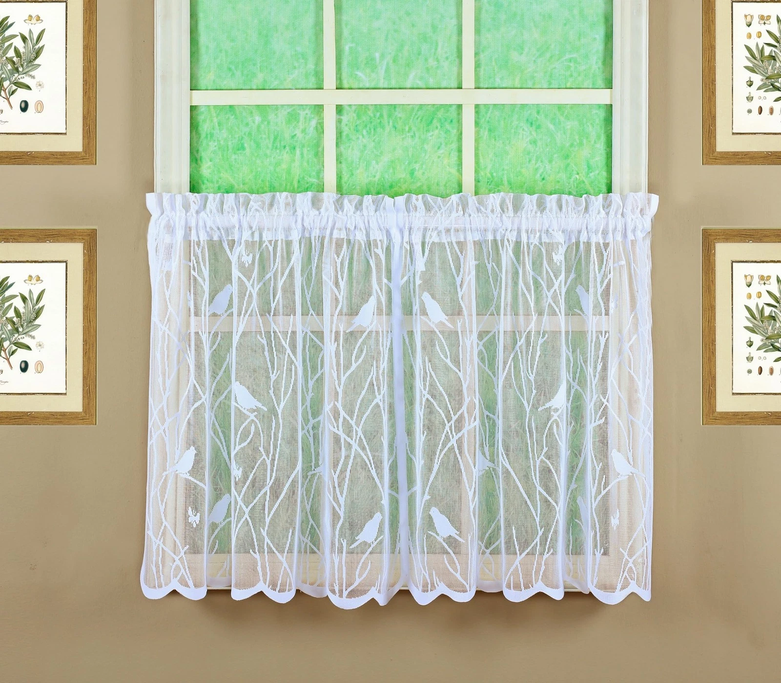 , Songbird Semi-Sheer Lace Tier 24", White, 56" W x 24" L